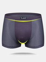 Sexy Mesh Ice Silk Super Breathable Thin Mid Rise U Convex Boxers for Men