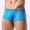 Sexy Mesh Translucent Breathable Underwears Low Rise U Convex Boxers for Men