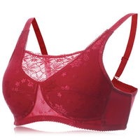 Sexy No Rims Breast Implants Embroidery Gather Boob Tube Top Bras