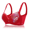 Sexy Push Up Deep Plunge Lace-trim Gather Lightly Lined Embroidered Bras