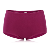 Sexy Seamfree Breathable Soft Panties High Waist Underwear For Women