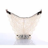 Sexy Transparent Lace Breathable Seamless Briefs Low Waist Panties For Women