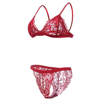 Sexy Triangle Bralettes Lightly Lined Unlined Embroidery Lace Plunge Bra Set