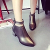 Strappy Zipper Pointed Toe Ankle Short Square Heel Boots