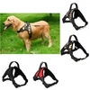 TAILUP Four Color S/M/L/XL Durable Oxford Fabric Pet Dog Collar Dog Use Harness Supplies