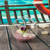 Transparent Fish Tank Hydroponic Flower Round Glass Vase Home Decor