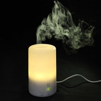 USB Aromatherapy Essential Oil Diffuser Ultrasonic Aroma Air Humidifier Portable