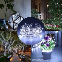 USB Powered 10M 5W 100LEDs Copper Wire String Light For Holiday Party + 13Keys Remote Controller