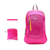Waterproof Dacron Travel Backpack Lightweight Folding Outdoor Bag For Women Men