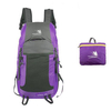 Waterproof Nylon Travel Backpack Big Capacity Backpack Folding Portable Bag For Men