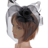 Wedding Races Party Fascinator Veil Net Hat Cones Feathers Hatinator