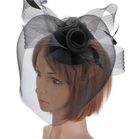 Wedding Races Party Fascinator Veil Net Hat Cones Feathers Hatinator