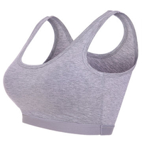 Wide Strap Wireless Solid Color Vest Bando Bra