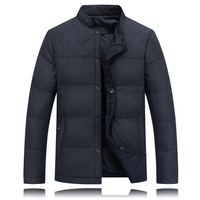 Winter Casual Thick Warm Stand Collar Solid Color Down Jacket for Men