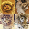 XS Pet Dog Cat Artificial Lion Mane Wig Halloween Costume