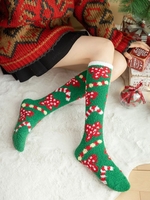 Chaussettes D
