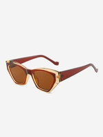 Lunettes Solaires de Forme Irrégulière Bicolore