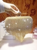 Pochette de Soirée Strass Brillant Détaillé avec Frange