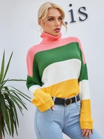 Pull Rayé en Blocs de Couleurs à Col Roulé L