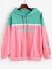 Sweat à Capuche Lettre Brodé en Blocs de Couleurs Surdimensionné Xl Multi a