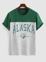 ZAFUL T-shirt à Imprimé Lettre Graphique en Couleur Unie L Vert profond