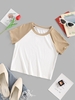 ZAFUL T-shirt Côtelé en Blocs de Couleurs à Manches Raglan S Blanc