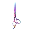 1 Pc Salon En Acier Inoxydable Cheveux Ciseaux De Coupe Barber Ciseaux De Coiffure Professionnel Coupe De Cheveux Ciseaux Cisaillement