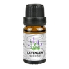 10 ml d