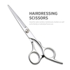 10 PCS Ciseaux De Coupe De Cheveux Ensemble Ciseaux De Coiffure Kit Ciseaux Amincissants Peigne À Cheveux Ciseaux Cas Professionnel Barber Salon Maison Cisaille Kit Pour Hommes Femmes Pet