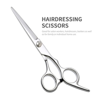 10 PCS Ciseaux De Coupe De Cheveux Ensemble Ciseaux De Coiffure Kit Ciseaux Amincissants Peigne À Cheveux Ciseaux Cas Professionnel Barber Salon Maison Cisaille Kit Pour Hommes Femmes Pet
