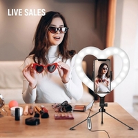 10 pouces RGB Video Light en forme de coeur LED Fill Light Dimmable Alimenté par USB avec support de téléphone Trépied de bureau pour la diffusion en direct Vidéo en ligne Selfie Maquillage Vlog
