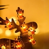 10ft 30LEDs Lumières suspendues décoratives de Noël Blanc chaud Fée Guirlande lumineuse Alimenté par batterie Éclairage d