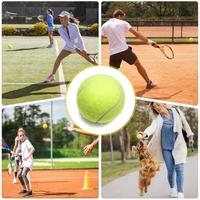 12 paquets de balles de tennis d