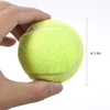 12 paquets de balles de tennis d