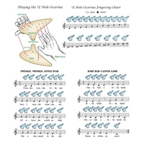 12 trous ronde tête céramique Ocarina AltoC peinte à la main Instrument de musique avec lanière Music Score sac de protection pour les mélomanes et les apprenants