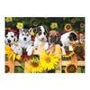 14 * 17 pouces Animaux DIY 5D Diamant Peinture Kit Plein Foret Diamant Peinture Chat Chiens Fleur Motif Acrylique Strass Mosa que Peinture Artisanat Maison Décoration Murale Cadeau Sans Cadre