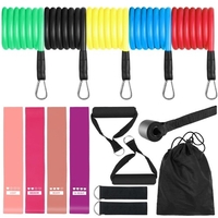 15 Pcs Bandes de Résistance Ensemble Entraînement Fintess Exercice Bandes de Réadaptation Bandes de Boucle Bandes de Tube Ancrage de Porte Sangles de Cheville Poignées Coussinées