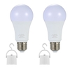 2 ampoules rechargeables d