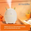 200 ML Mini Humidificateur D