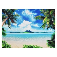 2.1 * 1.5 m/7 * 5ft Photographie Fond Paysage Marin Portrait Photographie Décors Photo Studio Props pour Portrait Photos Fête Décoration