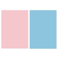 21 x 33 pouces/53 cm x 83 cm Morandi Couleur Double Face Photographie Fond Papier Grain De Bois Photographie Fond pour Produit Alimentaire Photographie Vie Photo