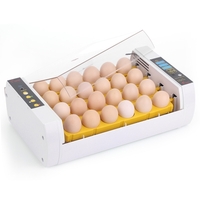 24 oeufs incubateur d