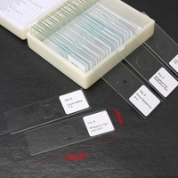 25 PCS / Ensemble Biologique Verre Échantillon Préparé De Base Des Plantes Animales Insectes Tissus Science Spécimen De Couverture Couvre Portable Éducatif Microscope Diapositives