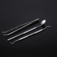 3 pcs / pack Hygiène Dentaire Outils Kit Dentiste Ensemble Dentaire Sonde Miroir Brucelles En Acier Inoxydable Dents Soins De Nettoyage