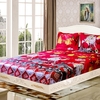 3 pcs / set De Noël Santa Literie Ensemble Micro Fiber 3D Imprimé Lit Draps + Taie D