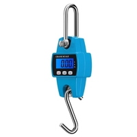 300 kg/50g échelle de grue électronique échelle suspendue numérique Mini échelle de levage échelle de crochet électronique industrielle pour bagages pisciculture chasse