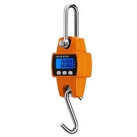 300 kg/50g échelle de grue électronique échelle suspendue numérique Mini échelle de levage échelle de crochet électronique industrielle pour bagages pisciculture chasse