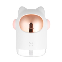 300 ml Mini humidificateur silencieux portable diffuseur d