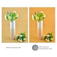 30cm / 12 "Balance Gris / Blanc Pliable 18% Gris Gris Réflecteur de Référence avec Sac de Transport