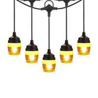 38FT Hang-ing Light LED String Light avec 12pcs Ampoules incassables Abat-jour transparent
